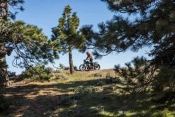 ROLAND SANDS DESIGN Jacke Truman - Oliv -ONeal Verkaufsgeschäft Roland Sands Truman 16 1280x1280